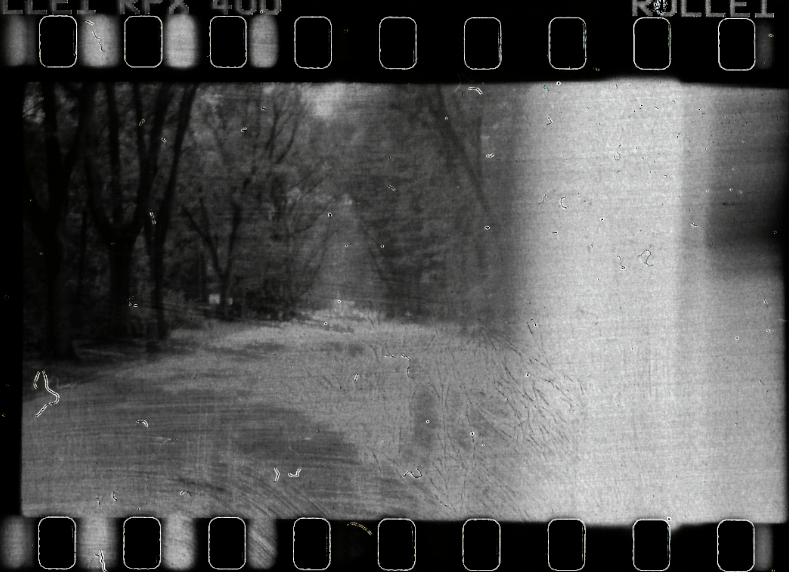 analog photo