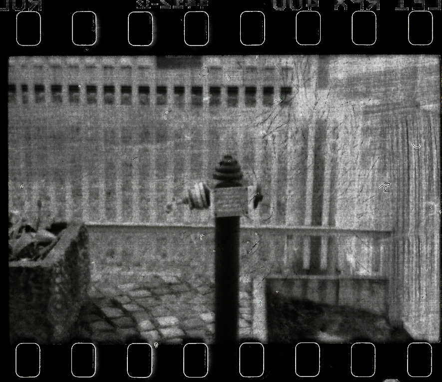 analog photo