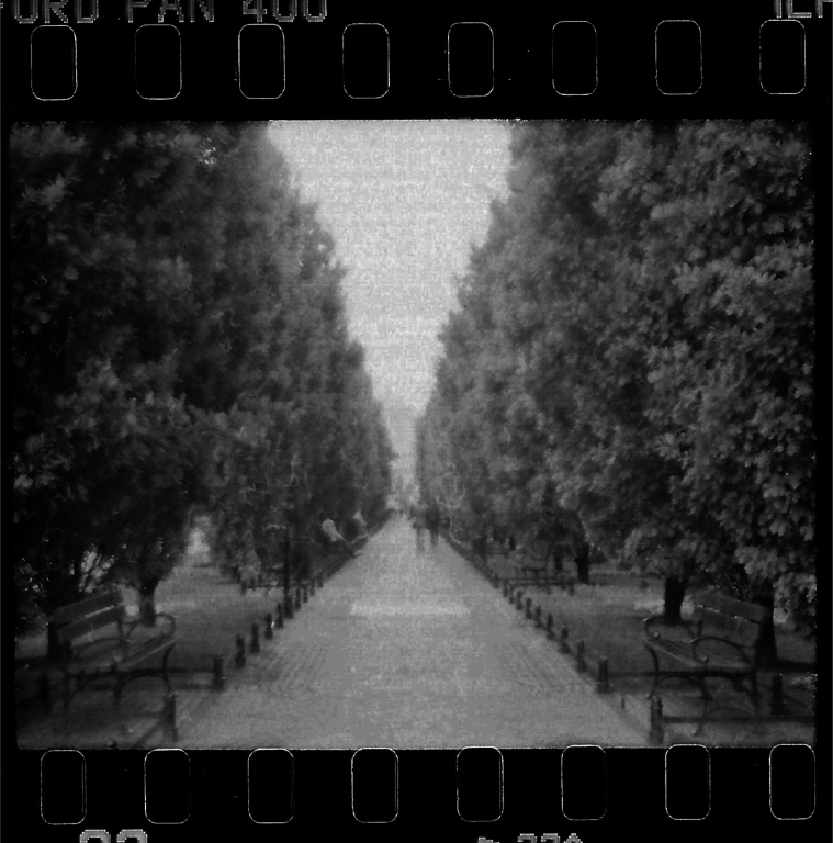 analog photo