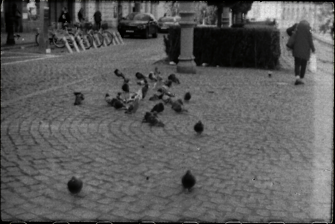 analog photo