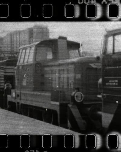 analog photo