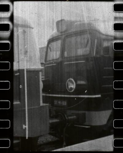 analog photo