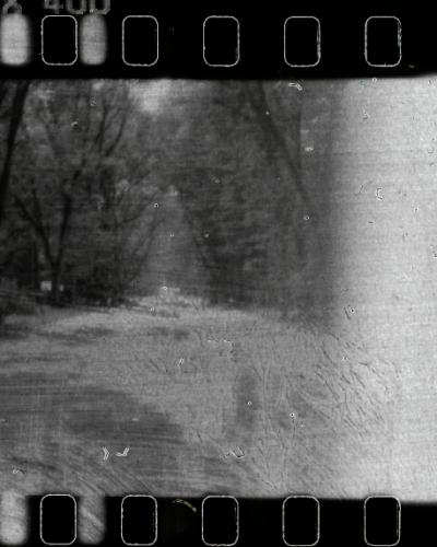 analog photo
