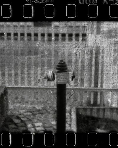 analog photo