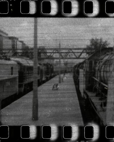 analog photo