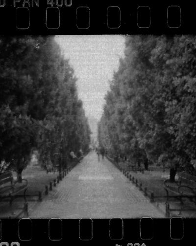 analog photo