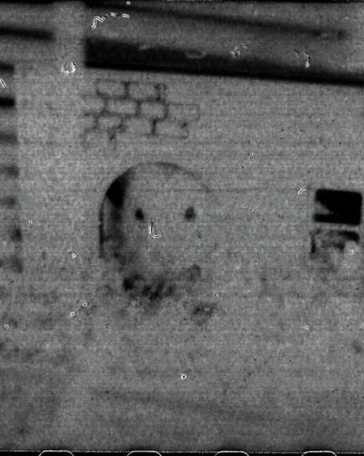 analog photo