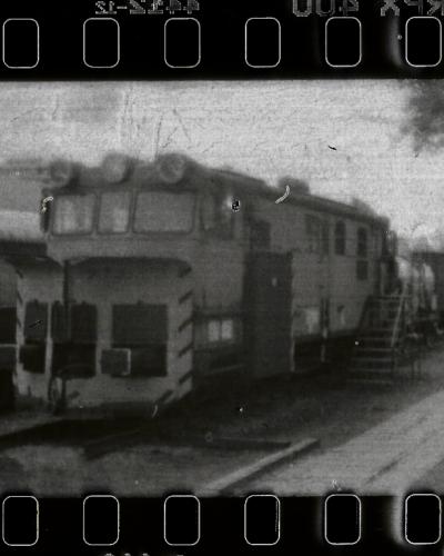 analog photo
