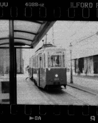 analog photo