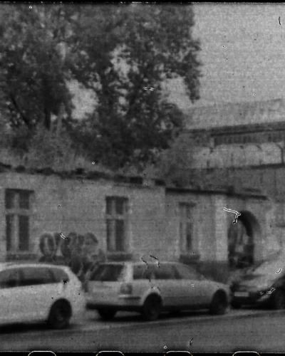 analog photo