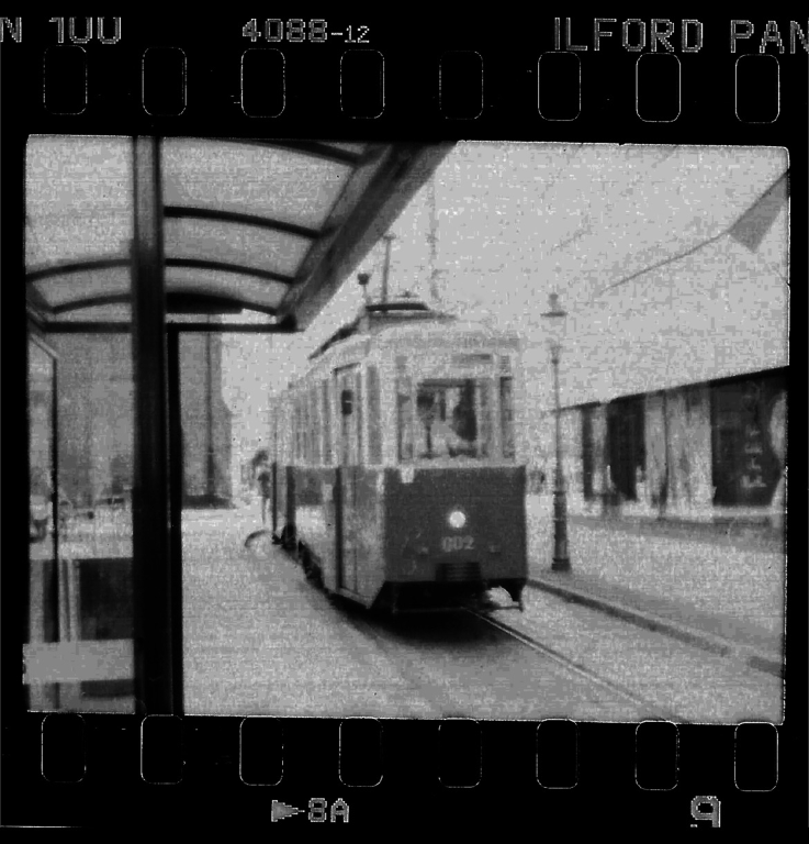 analog photo