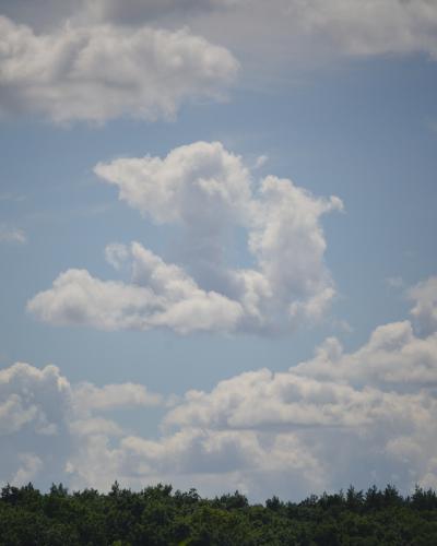 digital photo