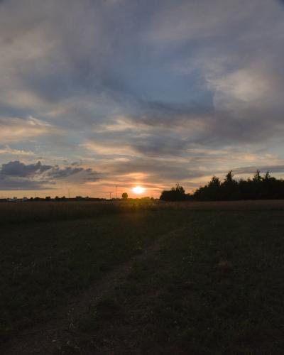 digital photo