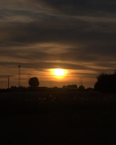digital photo