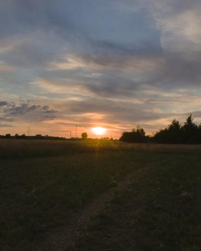 digital photo