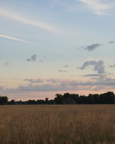 digital photo