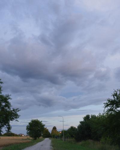 digital photo