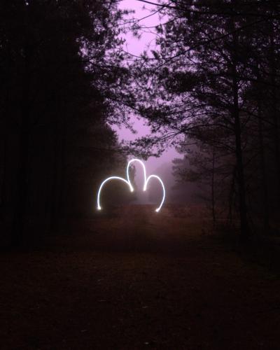 digital photo